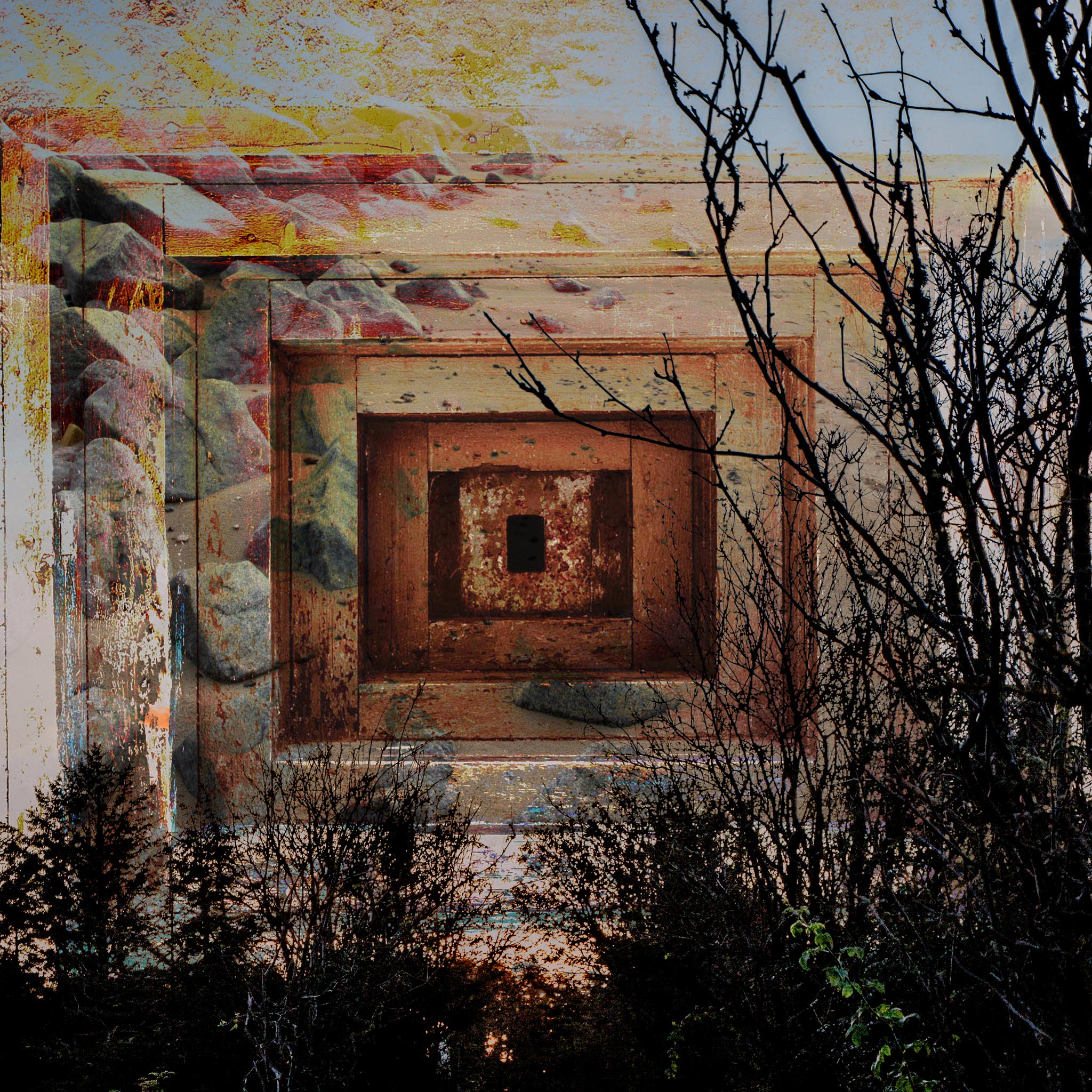 Veggbilder |  | Loophole through a forest | fotokunst kunstfoto foto kunst bilder aluminiumsplate wall art