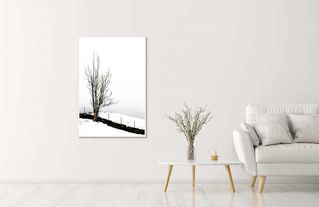 Veggbilder | Naken vintermorgen | Naked on a winter morning | fotokunst kunstfoto foto kunst bilder aluminiumsplate wall art